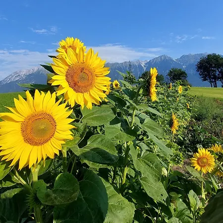 Uriges In Der Alten Schmiede 公寓