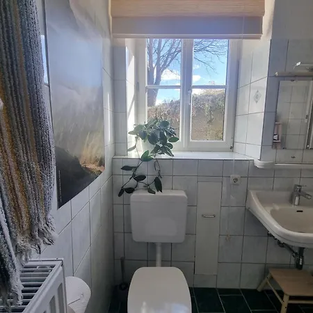 Uriges In Der Alten Schmiede