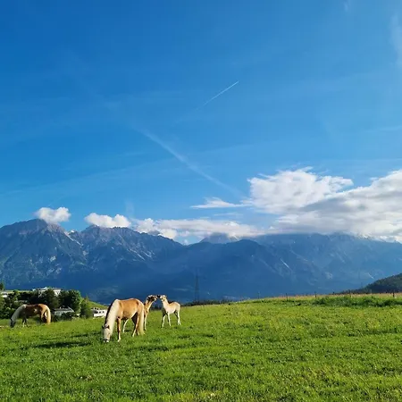 Uriges In Der Alten Schmiede * Innsbruck